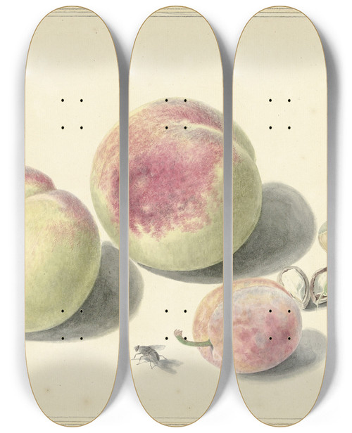 Triptych art skateboard deck of Elisabeth Geertruida Van De Kasteele Perziken Noten Een Pruim En Een Vlieg After Michiel Van Huysum by Elisabeth Geertruida Van De Kasteele (1818-1853)