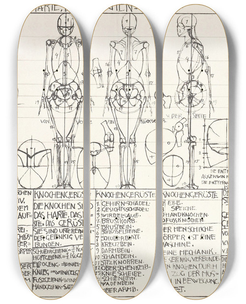 Triptych art skateboard deck of Alexander Rothaug Statik Und Dynamik Des Menschlichen Krpers Pl03 by Alexander Rothaug (1870-1946)
