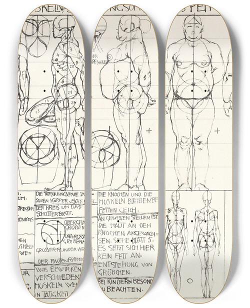Triptych art skateboard deck of Alexander Rothaug Statik Und Dynamik Des Menschlichen Krpers Pl04 by Alexander Rothaug (1870-1946)