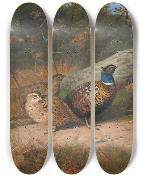 Triptych art skateboard deck of Archibald Thorburn The Fallen Beech A Cock And Three Hen Pheasants With A Wasp by Archibald Thorburn (1860-1935)