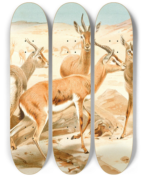 Triptych art skateboard deck of Wilhelm Kuhnert Dorcas Gazelle by Wilhelm Kuhnert (1865-1926)