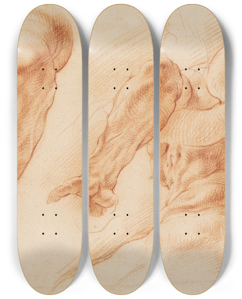Triptych art skateboard deck of Willem Panneels Laocoon Studies Of Laocoons Left Arm And Of The Back Of His Torso Seen From The Left And From Below by Willem Panneels (1600-1634)