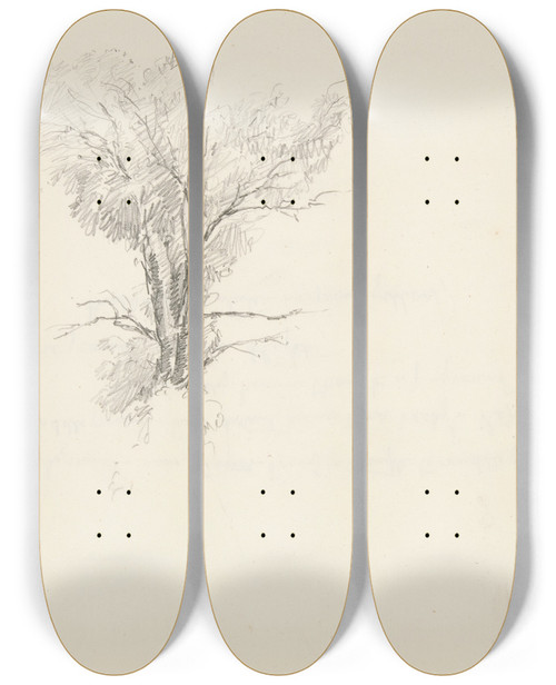 Triptych art skateboard deck of Truman Seymour Study Of Atree by Truman Seymour (1824-1891)