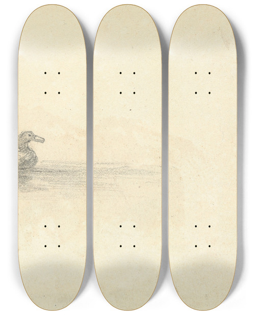 Triptych art skateboard deck of Thomas Bradshaw Sketch Of A Duck by Thomas Bradshaw (1767)