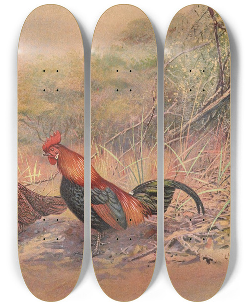Triptych art skateboard deck of George Edward Lodge Red Junglefowl by George Edward Lodge (1860-1954)