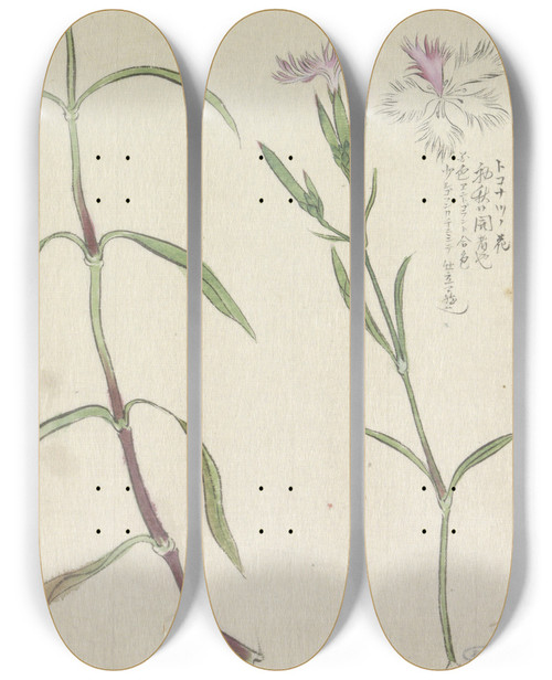 Triptych art skateboard deck of Ishikawa Kazan Schetsblad Met Studies Van Een Wilde Anjelier by Ishikawa Kazan (1810-1823)