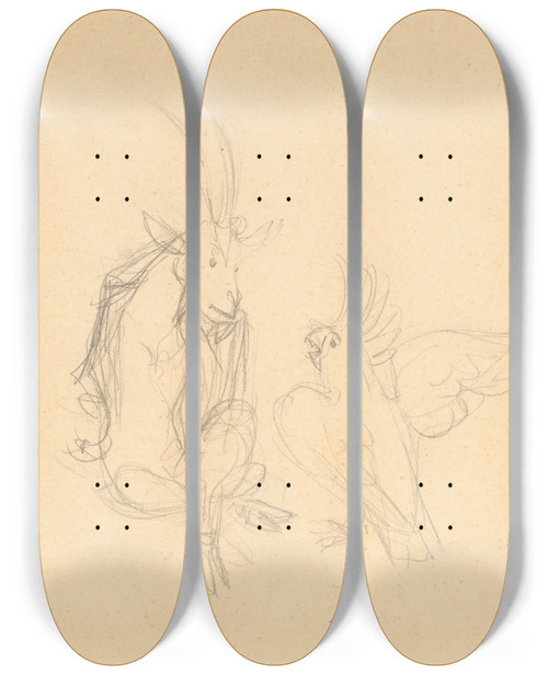Triptych art skateboard deck of Jn Novk Somrik A Kakadu by Jan Novak (1921-1944)