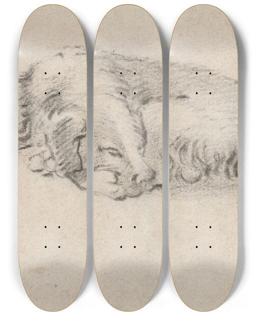 Triptych art skateboard deck of Jan Miel Study Of A Sleeping Dog by Jan Miel (1599-1664)