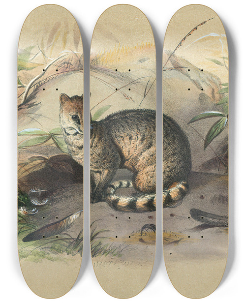 Triptych art skateboard deck of Joseph Wolf The Rasse_1 by Joseph Wolf (1820-1899)