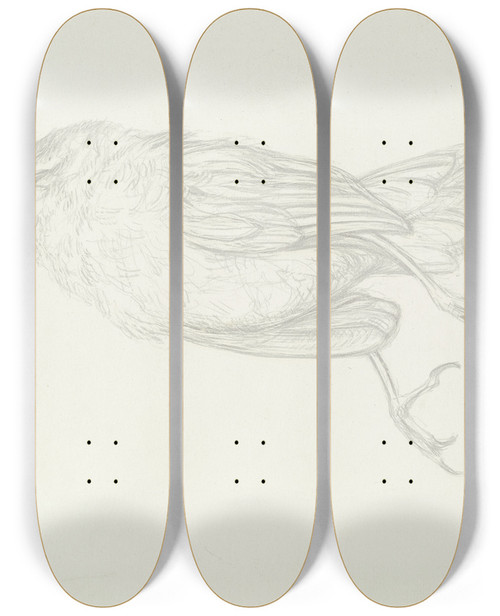 Triptych art skateboard deck of Carl Anton Reichel Dead Bird by Carl Anton Reichel (1874-1944)