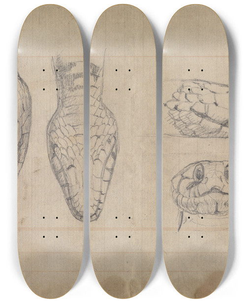 Triptych art skateboard deck of Robert Smirke Study Of The Head Of A Snake by Robert Smirke (1752-1845)