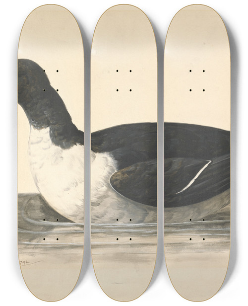 Triptych art skateboard deck of Charles Collins A Guillemot June 1742 by Charles Collins (1680-1744)