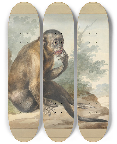 Triptych art skateboard deck of Aert Schouman A Monkey Sitting On A Rock Looking At A Civet by Aert Schouman (1710-1792)