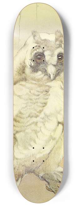 Edward Julius Detmold - The Long-Eared Owl 8.25 inch art skate deck