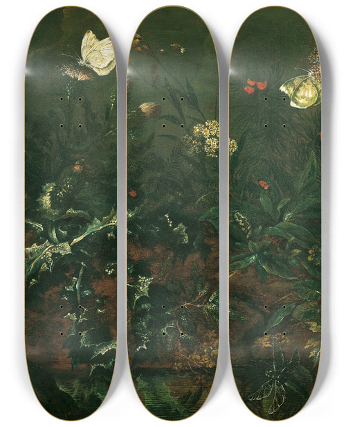 Triptych art skateboard deck of Franz Michael Siegmund Von Purgau The Elder Rasenstck Mit Distel Frschen Und Libelle by Franz Michael Siegmund von Purgau the elder (1678-1754)