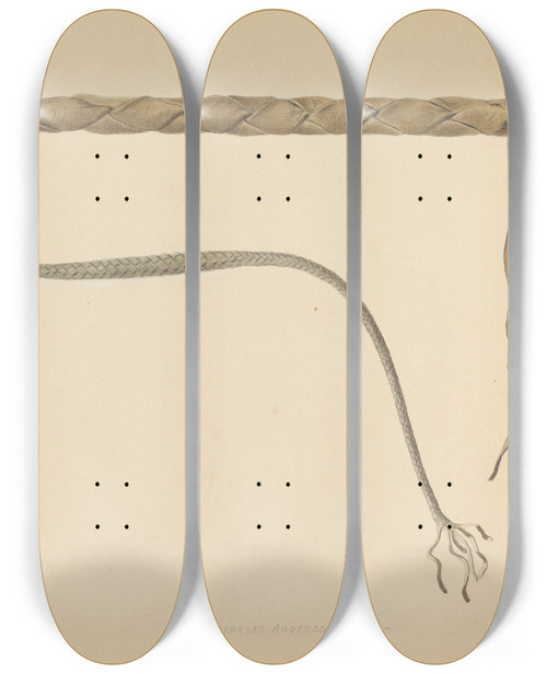 Triptych art skateboard deck of Alexander Anderson Rawhide Herders Whip by Alexander Anderson