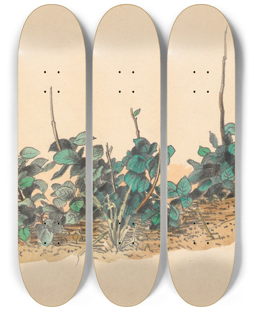Triptych art skateboard deck of Karl Wiener Ohne Titel Grnpflanzen by Karl Wiener (1901-1949)