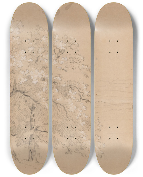 Triptych art skateboard deck of Jeanantoine Linck Sunlit Trees Before A Panoramic Landscape by Jean-Antoine Linck (1766-1843)