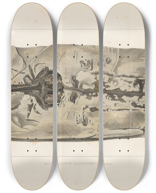 Triptych art skateboard deck of Louis Agassiz Recherches Sur Les Poissons Fossiles Pl330 by Louis Agassiz (1807-1873)
