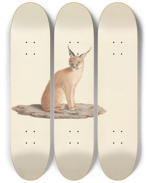 Triptych art skateboard deck of Luigi Balugani Caracal Caracal Desert Lynx by Luigi Balugani (1737-1770)