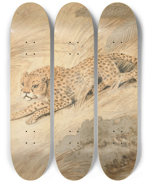 Triptych art skateboard deck of Samuel Howitt A Cheetah Crouching By A Pool by Samuel Howitt (1756-1822)
