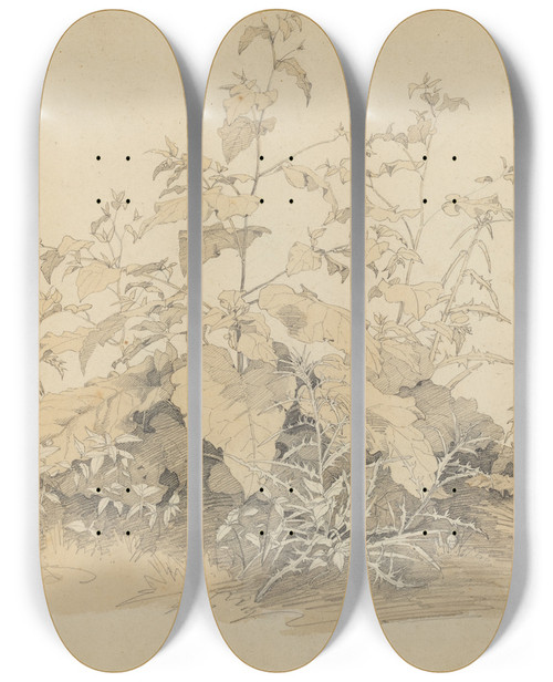 Triptych art skateboard deck of Johann Christian Heerdt Wild Plants Near Birstein by Johann Christian Heerdt (1812-1878)