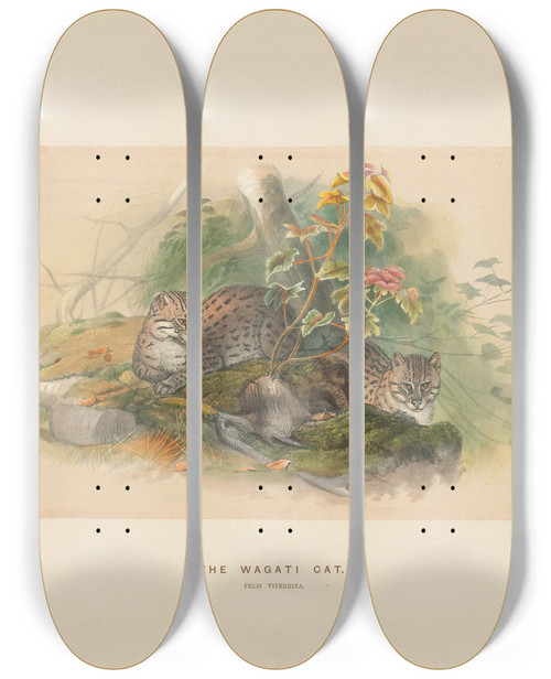 Triptych art skateboard deck of Joseph Wolf The Wagati Cat_2 by Joseph Wolf (1820-1899)