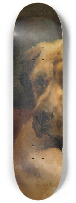 Edwin Douglas - The Head Of A Mastiff 8.25 inch art skate deck