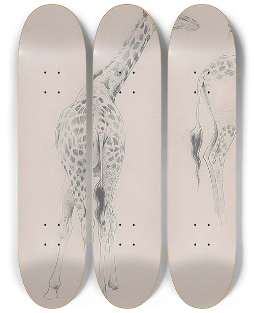 Triptych art skateboard deck of Wilhelm Kuhnert A Study Of Two Giraffes by Wilhelm Kuhnert (1865-1926)