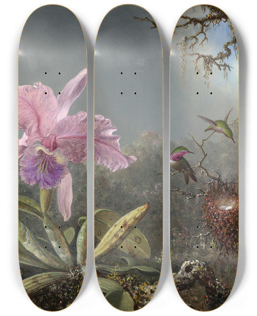 Triptych art skateboard deck of Martin Johnson Heade Cattleya Orchid And Three Hummingbirds by Martin Johnson Heade (1819-1904)