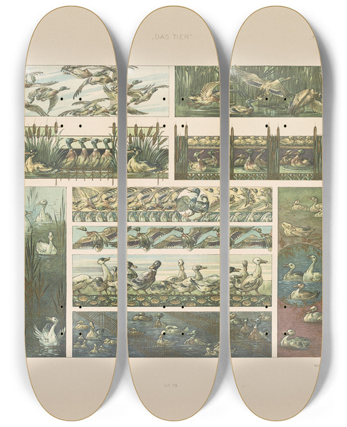 Triptych art skateboard deck of Anton Seder Das Thier In Der Decorativen Kunst Pl20 by Anton Seder (1850-1916)