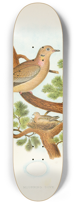 Edwin L. Sheppard - Mourning Dove 8.25 inch art skate deck