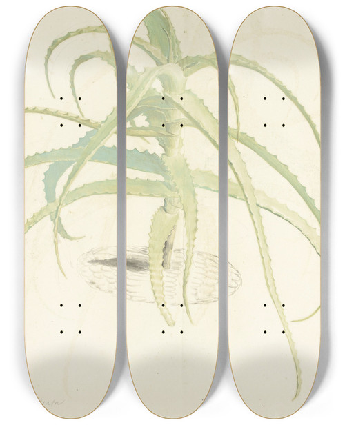 Triptych art skateboard deck of Herman Saftleven Alo Perfoliata by Herman Saftleven (1609-1685)