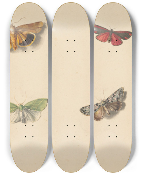 Triptych art skateboard deck of Jan Weissenbruch Vier Vlinders by Jan Weissenbruch (1822-1880)
