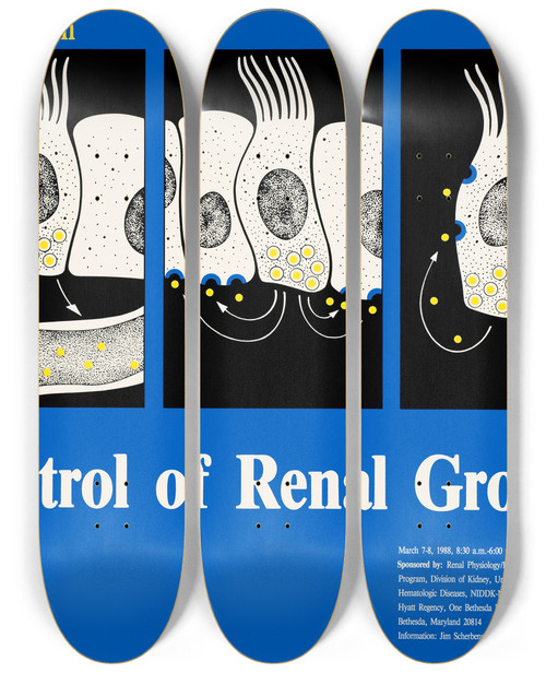 Triptych art skateboard deck of National Institutes Of Health Workshop On Control Of Renal Growth by National Institutes Of Health (1887)