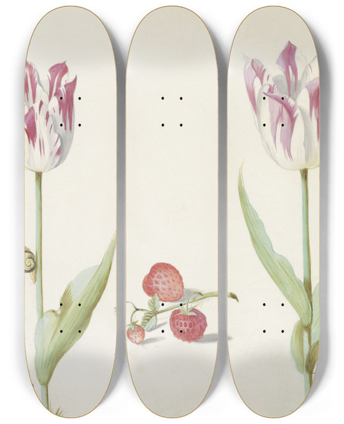 Triptych art skateboard deck of Jacob Marrel Twee Tulpen Met Aardbeien En Slak by Jacob Marrel (1613-1681)