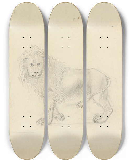 Triptych art skateboard deck of James Sowerby A Lion_1 by James Sowerby (1757-1822)