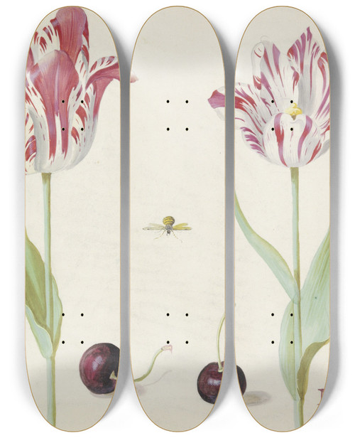 Triptych art skateboard deck of Jacob Marrel Twee Tulpen Met Twee Kersen En Bij by Jacob Marrel (1613-1681)