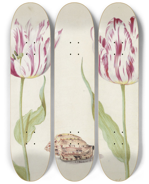 Triptych art skateboard deck of Jacob Marrel Twee Tulpen Met Schelp En Lieveheersbeestje by Jacob Marrel (1613-1681)