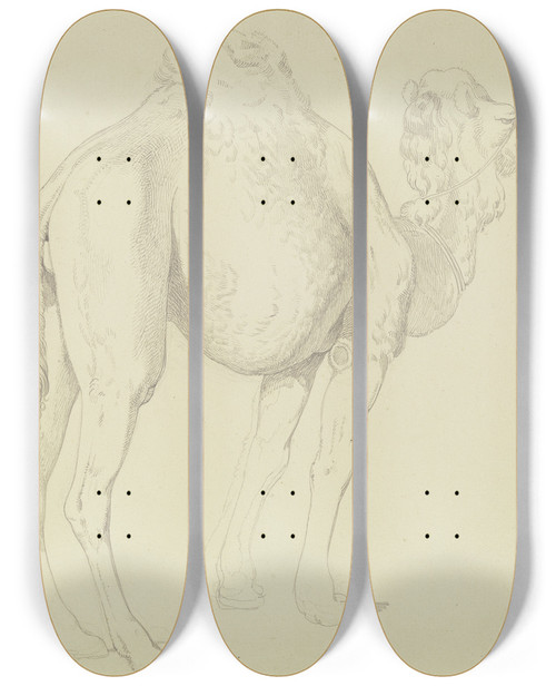 Triptych art skateboard deck of Gustav Heinrich Naecke Onehumped Camel To The Right by Gustav Heinrich Naecke (1786-1835)