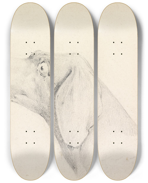 Triptych art skateboard deck of Henry Thomas Alken Head Of A Pointer In Profile Left by Henry Thomas Alken (1785-1851)