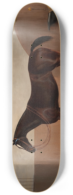Albert Clark - Race Horse 8.25 inch art skate deck