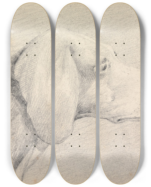 Triptych art skateboard deck of Henry Thomas Alken Head Of A Foxhound In Profile Right by Henry Thomas Alken (1785-1851)
