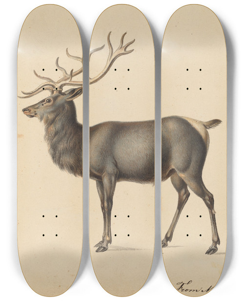 Triptych art skateboard deck of Peter Rindisbacher European Elk by Peter Rindisbacher (1806-1834)