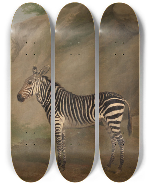 Triptych art skateboard deck of Jacqueslaurent Agasse Zebra by Jacques Laurent Agasse (1767-1849)