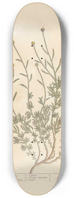 Elizabeth Blackwell - Lavender cotton 8.25 inch art skate deck