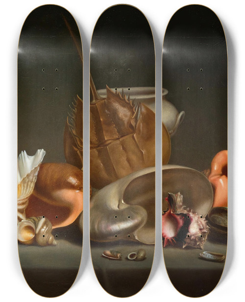 Triptych art skateboard deck of French School A Still Life With Sea Shells And Molluscs by French School (16-19-)