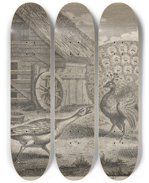 Triptych art skateboard deck of John Wootton Fable Xi The Peacock The Turkey And The Goose by John Wootton (1686-1765)