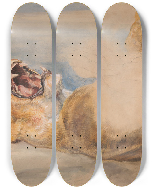 Triptych art skateboard deck of John Frederick Lewis Study Of A Lioness by John Frederick Lewis (1805-1876)