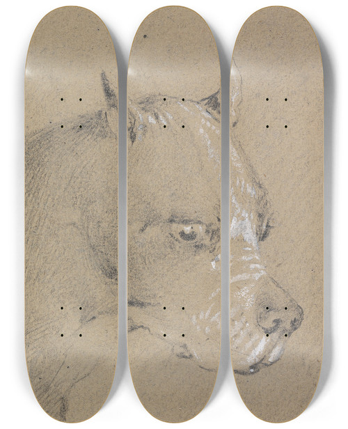 Triptych art skateboard deck of Henry Thomas Alken Head And Shoulders Of A Boxer Dog Profile Right by Henry Thomas Alken (1785-1851)